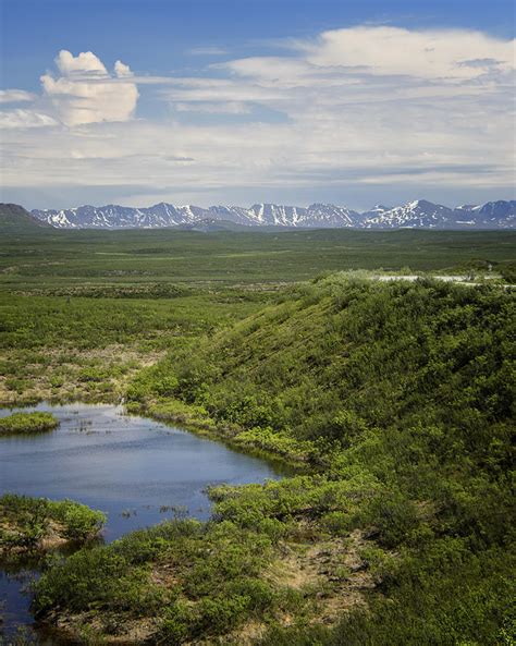 Alaska Scenes Photograph by Vicki Jauron - Fine Art America