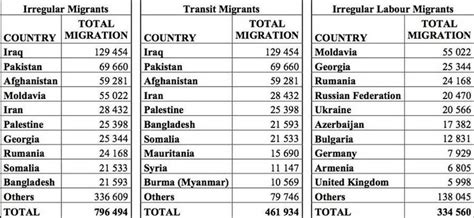 Irregular Migrants, Transit Migrants and Irregular Labour Migrants in ...