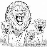 Roaring Lion Coloring Pages  Free & Printable sketch template