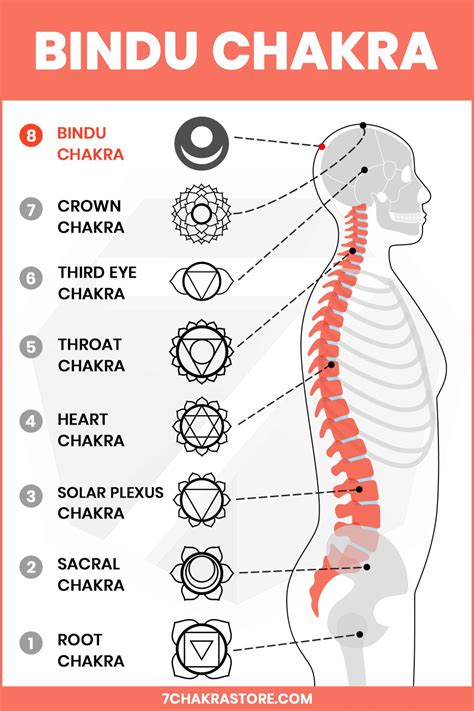 Bindu Chakra | 8th Chakra Meaning | Chakra meanings, Chakra for ...