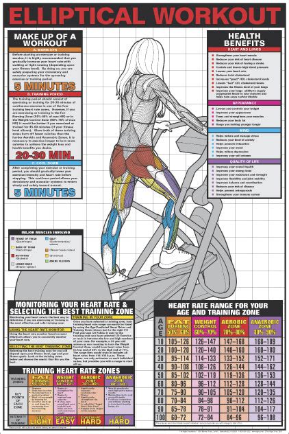 Elliptical Cross-Trainer Workout (Women's) Fitness Wall Chart Poster - Fitnus Posters – Sports ...