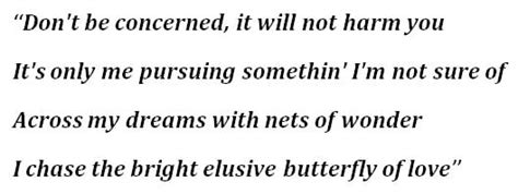 Bob Lind's "Elusive Butterfly" Lyrics Meaning - Song Meanings and Facts