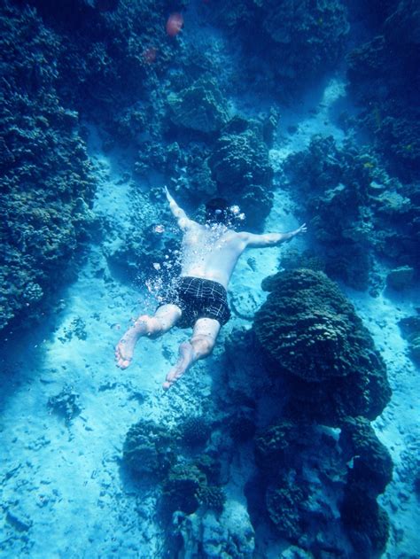 Best Big Island Snorkeling Spots | Outside the Cage