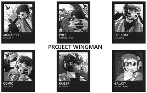 Crimson 1 be like : Project_Wingman