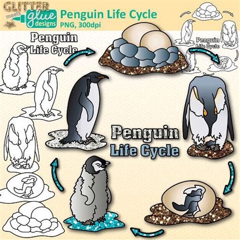 Penguin Life Cycle Clip Art: Habitat & Adaption Graphics {Glitter Meets Glue} | Penguin life ...