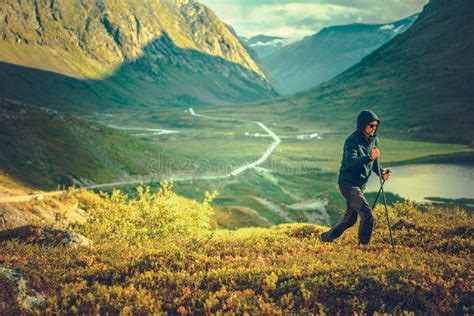 Nordic Walking Mountain Trail Stock Image - Image of athlete, body ...