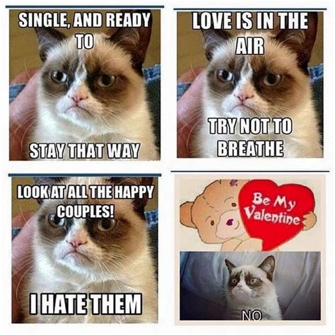 Love is in the air, try not to breathe | Grumpy cat humor, Valentines day memes, Funny memes ...