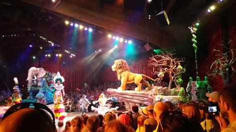 Lion King show at Disney's Animal Kingdom. May 2015 trip. | Animal kingdom disney, Lion king ...