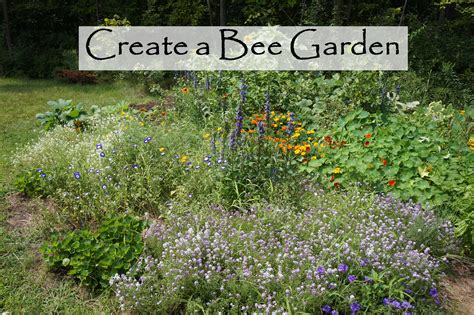 The Backyard Farming Connection: Planning a Bee Garden