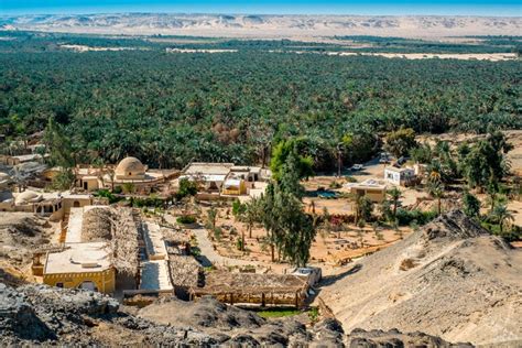 Excursion to the Fayoum Oasis from Cairo - Introducing Egypt