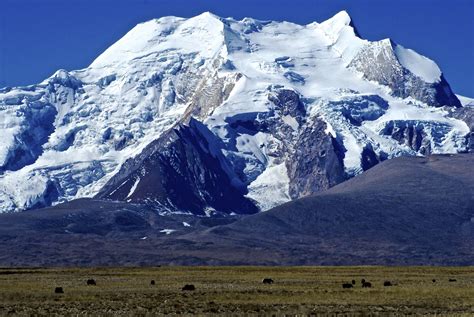 himalayan mountains pictures | ... , rising to 7295 meters in the Langtang section of the ...