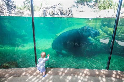 Fort Worth Zoo Becomes Certified Autism Center™