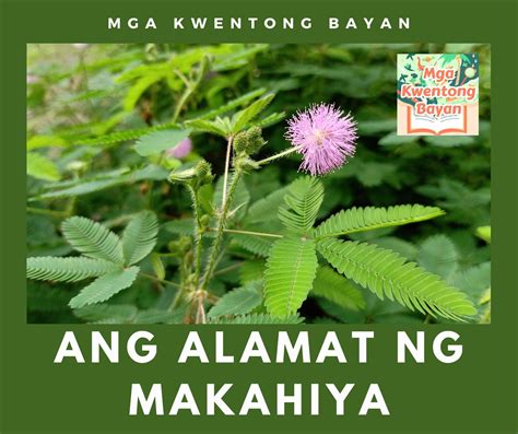 Ang Alamat ng Makahiya - Mga Kwentong Bayan