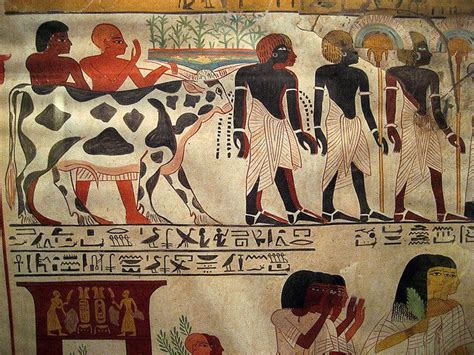 Egyptian Wall Paintings From The New Kingdom | Ancient egyptian ...