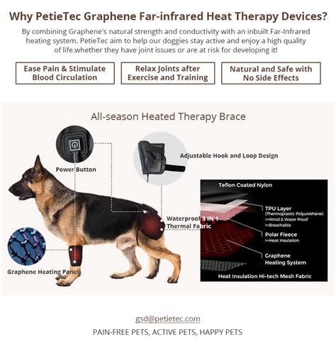 German Shepherd Hip Dysplasia Signs and Treatments | petietec