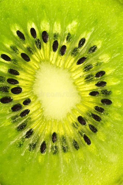 Kiwi Seeds stock photo. Image of macro, pattern, seeds - 13290728