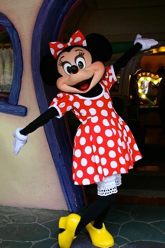 Disney World: Minnie Mouse Disney - GP05