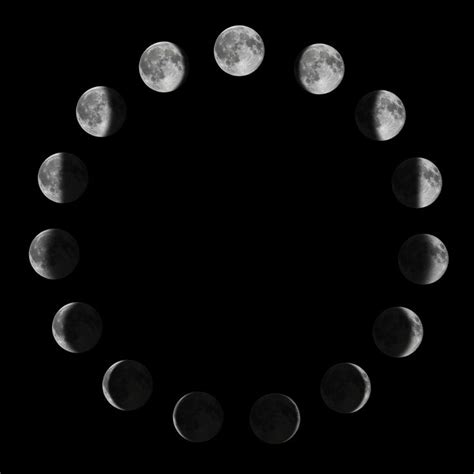 Phases of the Moon. Moon lunar cycle. Art Print by Allexxandarx - X ...