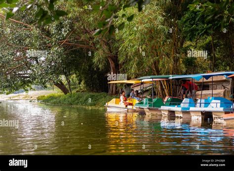 Karanji Nature Park Mysore Karnataka India September 1 2022 Birds on ...