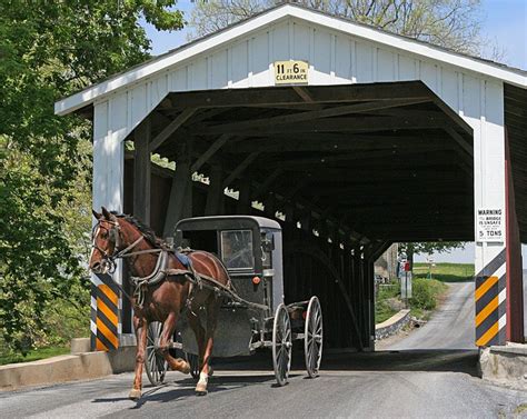 Covered Bridge Amish by Terry Tabb | Covered bridges, Amish country pennsylvania, Amish country