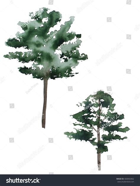 Watercolor Silhouette Trees Hand Drawn Illustration Stock Illustration 560092462 | Shutterstock