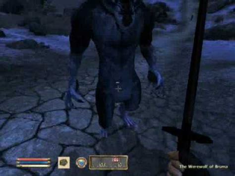 Oblivion Fight with Werewolf - YouTube