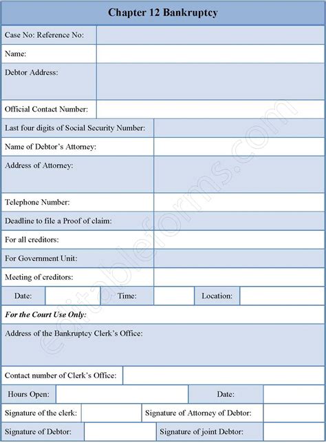 Chapter 12 Bankruptcy Form | Editable PDF Forms