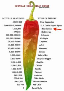 Just how spicy is a ghost pepper? - Small Axe Peppers