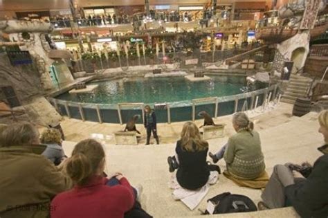 West Edmonton Mall Attractions | Photo, Information