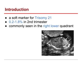 Echogenic fetal bowel | PPT