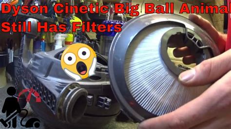 Dyson Cinetic Big Ball Animal Plus Allergy Parts | Reviewmotors.co