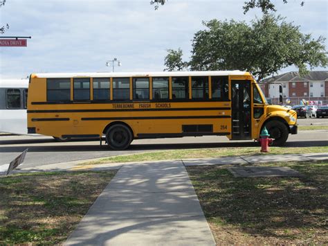 Terrebonne Parish Public Schools (First Student Inc.) Bus 264 - a photo on Flickriver