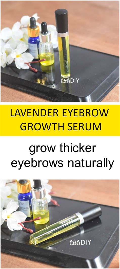 DIY LAVENDER EYEBROW GROWTH SERUM | Eyebrow growth serum, Eyebrow growth, Eyebrows