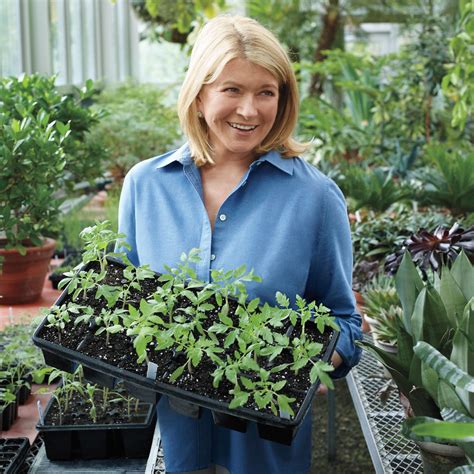 Gardening, Year-Round | Martha Stewart