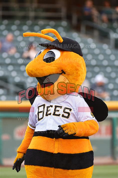 Tacoma Rainiers vs Salt Lake Bees | Four Seam Images