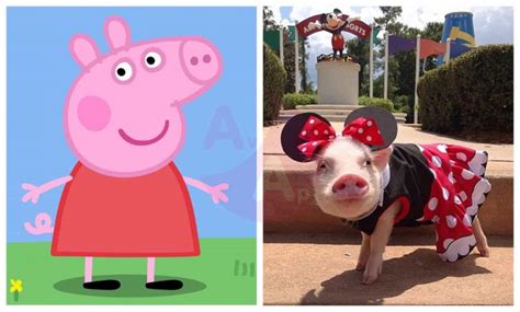 Peppa Pig in Real Life Characters – Before and After