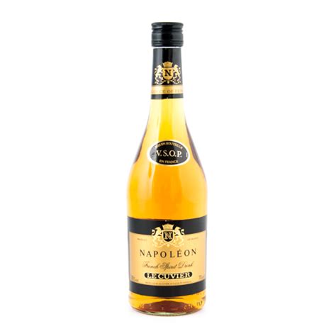 LIQUOR BRANDY GOLD KING SPIRIT 6/700 ML – Horizons Supplies