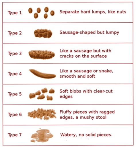 Bristol Stool Form Scale. Copyright 2000 © by Rome Foundation. All... | Download Scientific Diagram