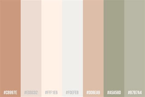 Muted Color Palettes for Modern Brands