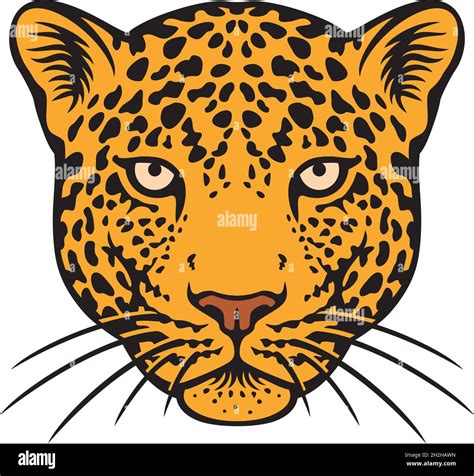 Jaguar head color vector illustration Stock Vector Image & Art - Alamy