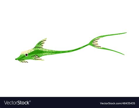 Cute exotic fish with double split tail tropical Vector Image