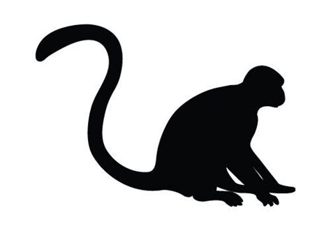 monkey silhouette | single vector silhouette of a monkey perfect for animal vec… | Animal ...