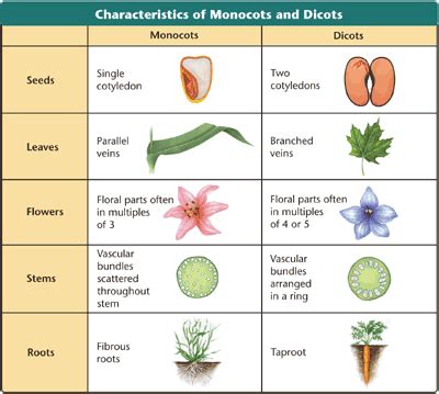 Prentice Hall Biology Print Version