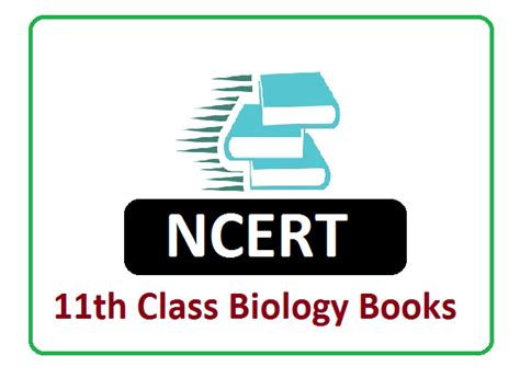 NCERT 11th Class Biology Books 2024 Pdf Download