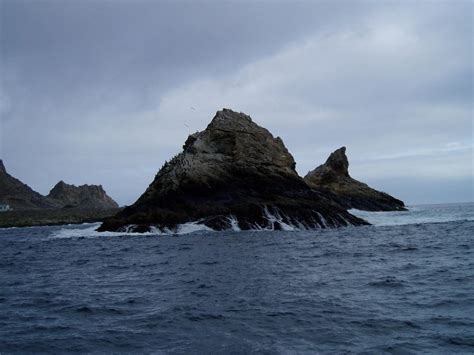 Farallon Islands, California | Shark Dive Adventures