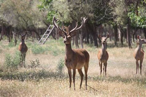 Uzbekistan Ecotourism: Uzbekistan Wildlife Adventures