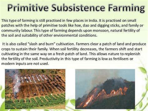 Write the feature of primitive subsistence farming ? | EduRev Class 10 Question