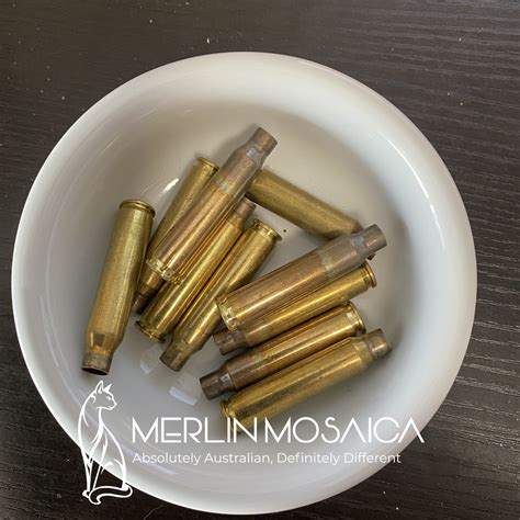 Used Bullet Casings - Merlin Mosaica