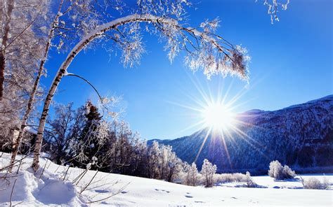 Winter Sunshine Quotes. QuotesGram