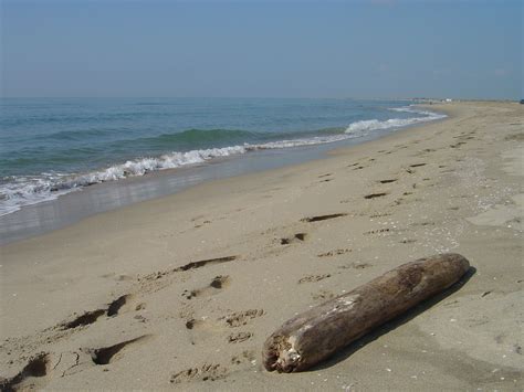 The Camargue | Camargue, Outdoor, Beach